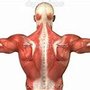 Photo of Restorative Muscle Therapy