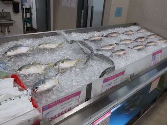 Park To Shop by null