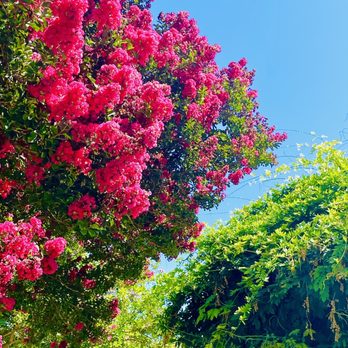 Pleasanton Senior Center - Senior Centers Near Me - Pleasanton, California