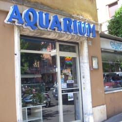 Aquarium