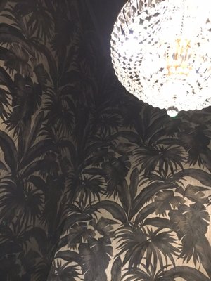 Water Bear Bar by null