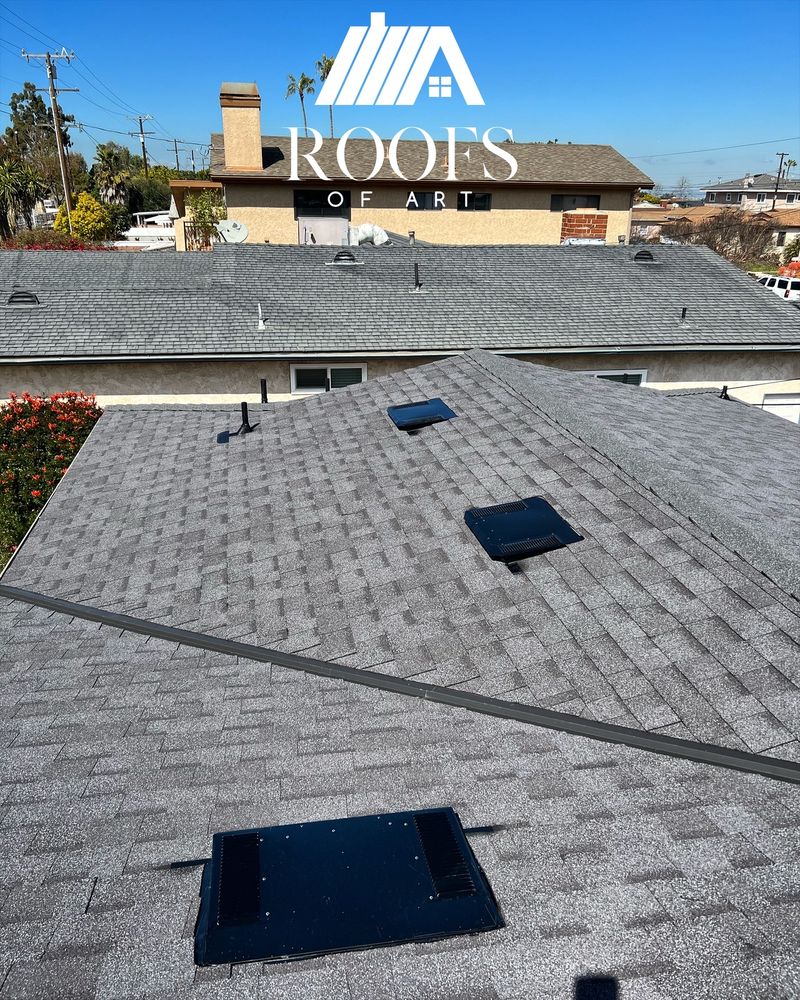 Slide of Roofs of Art