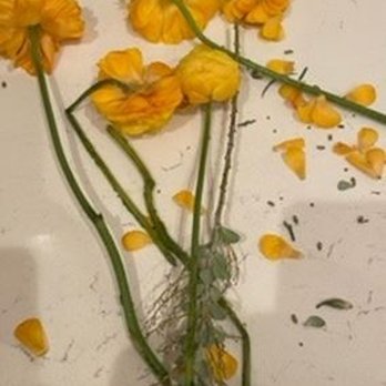 Florist of Covington - Florists Near Me - Covington, Louisiana Florist of Covington - Florists Near Me - Covington, Louisiana