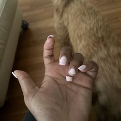 Lee Nails - Cracked nail broken
