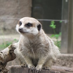 Tierpark Ueckermünde