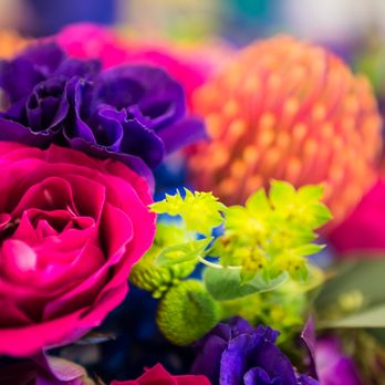 Beneva Flowers - vibrant colors by Nathan Baerris photography - Florists Near Me - Sarasota, Florida