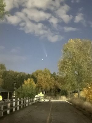 Prospect Park by null