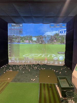 W Screen Golf by null