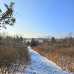 Finger Lakes Mill Creek Cabins - Trails on property