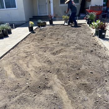 Meza Landscaping - Planting - Landscaping Near Me
