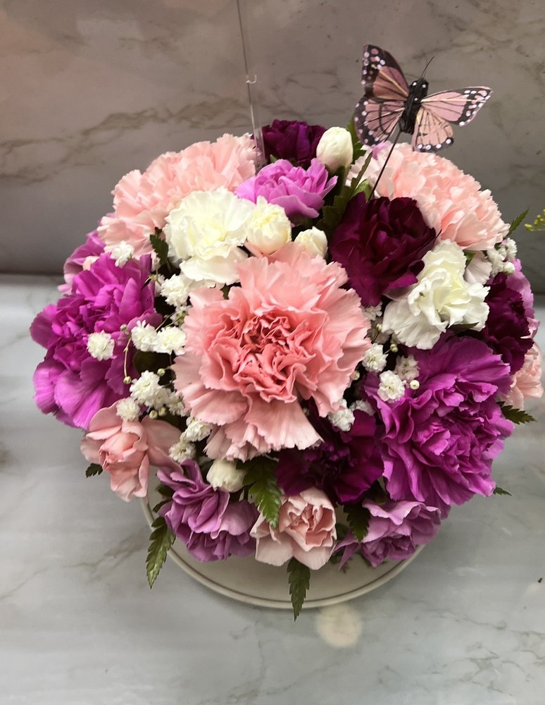 Stillman S Greenhouse Montour Falls New York at Charlotte Knight blog