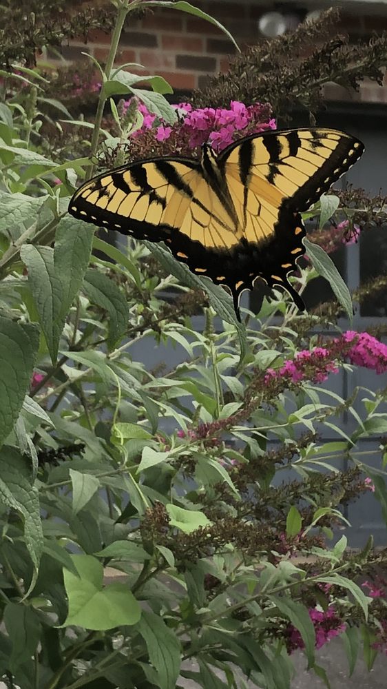 Art of Learning - childcare center in Ellicott City, MD