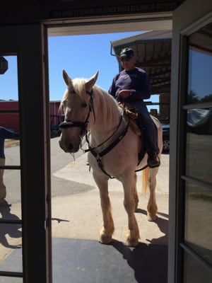 Hay Connection by null