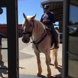 Hay Connection - Clyde came to visit!