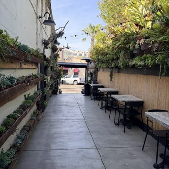 Succulent Coffee - Coffee & Tea Near Me - Oceanside, California