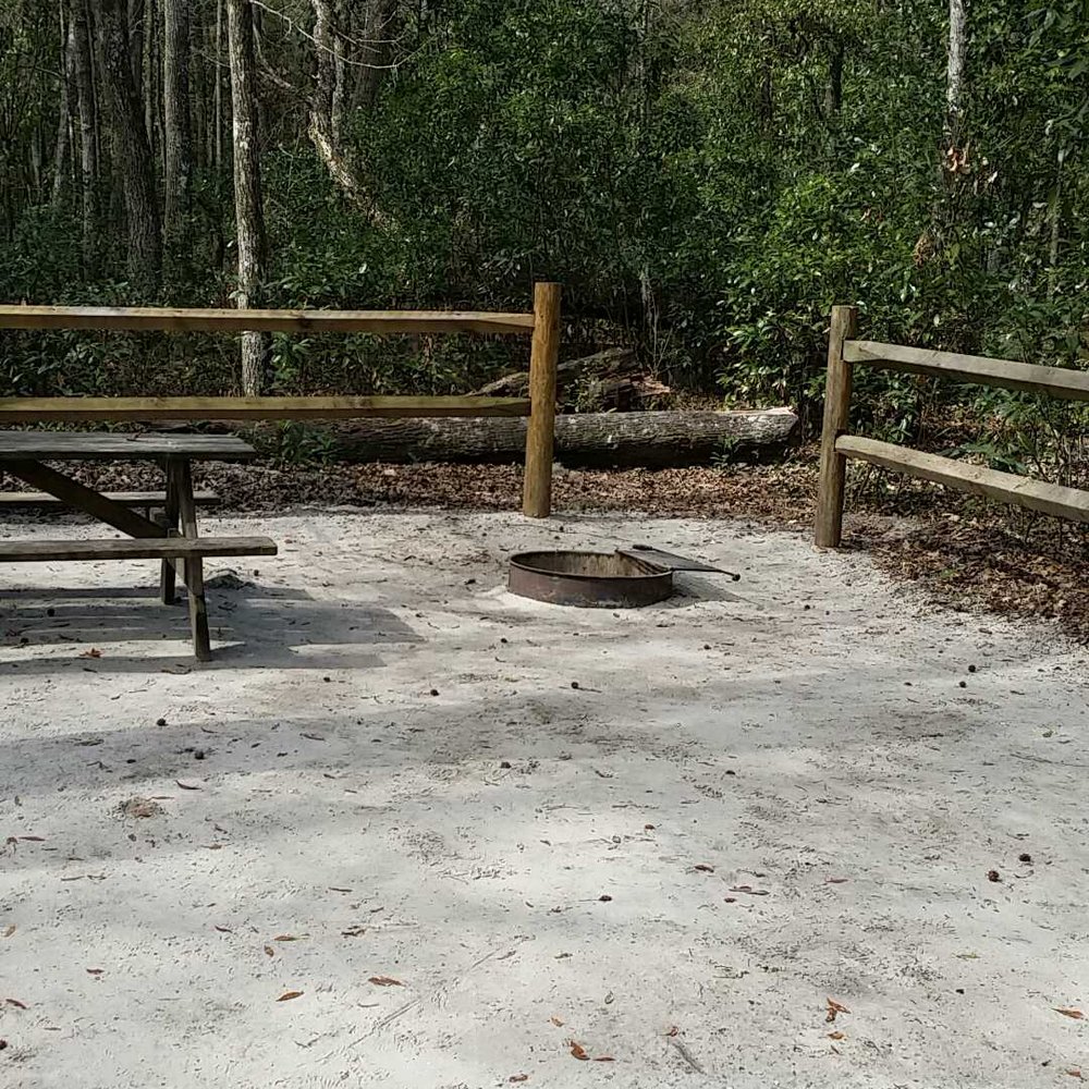 O'Leno State Park - Typical camp site - Parks Near Me - High Springs, Florida O'Leno State Park - Typical camp site - Parks Near Me - High Springs, Florida