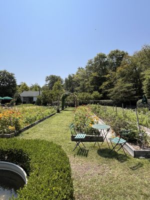Beach Plum Farm by null