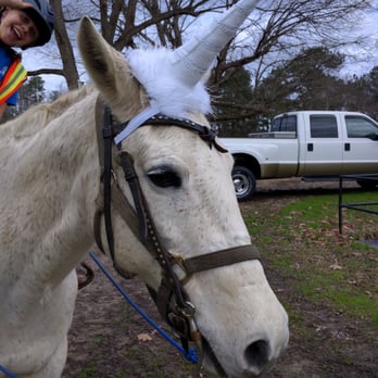 C&C Farm - Horseback Riding Near Me - Louisburg, North Carolina