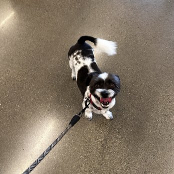 PetSmart - Thank you Katie! - Pet Groomers Near Me - SACRAMENTO, California