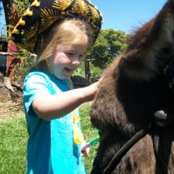 Once Upon a Pony & Petting Zoo - Henry makes friends everywhere he goes.