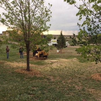 GE Tree Service - Tree service, stump removal. - Tree Services Near Me - Englewood, Colorado GE Tree Service - Tree service, stump removal. - Tree Services Near Me - Englewood, Colorado