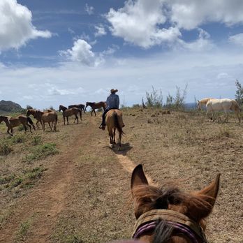 CJM Stables - Horseback Riding Near Me
