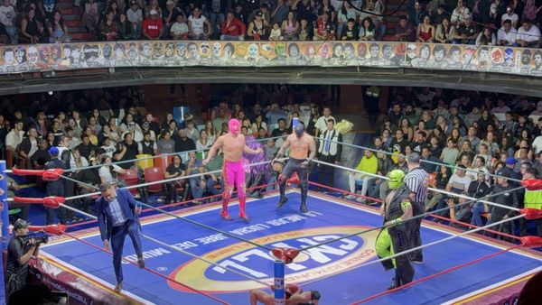 Arena Coliseo by null
