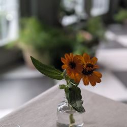 The Litchfield Inn