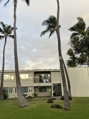 Maui Beach Hotel by null
