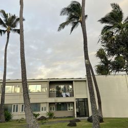 Maui Beach Hotel - View of the lawn area