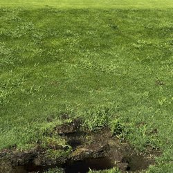 Stow Acres Country Club - Tire track on approach to green