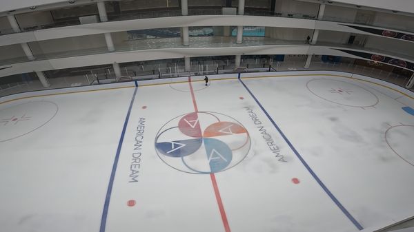 THE RINK - AMERICAN DREAM - Updated February 2026 - 38 Photos & 32 ...