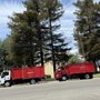 Sanchez Hauling junk Removal