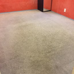 10 year old carpet that was extremely dirty