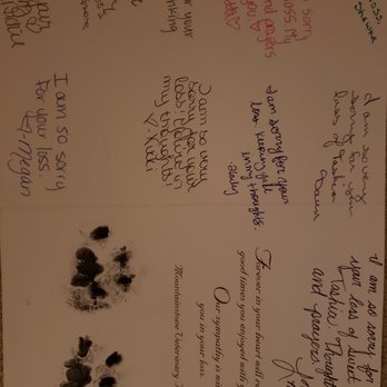 Mountainstone Veterinary Hospital - Last paw prints - Veterinarians Near Me - Cleveland, Tennessee Mountainstone Veterinary Hospital - Last paw prints - Veterinarians Near Me - Cleveland, Tennessee