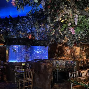 Rainforest Cafe - In a restaurant or in the middle of the Amazon? - American Near Me - Sunrise, Florida Rainforest Cafe - In a restaurant or in the middle of the Amazon? - American Near Me - Sunrise, Florida