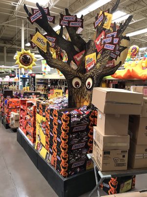 ACME Markets by null