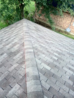 Whaley and sons Logo