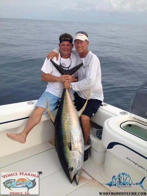 Venice Marina by null