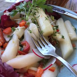 Goldener Hirsch - Spargel salad