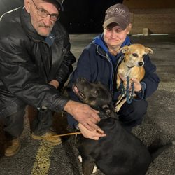 Offutt Veterinary Service - That's Bondo and lucky they need to be seen soon as possible and we have no money to pay for the vet bill what do we do