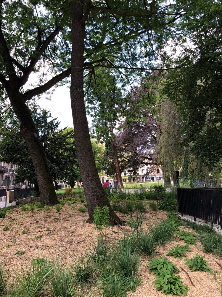 SQUARE VERDREL - Esplanade Marcel Duchamp, Rouen, Seine-Maritime ...