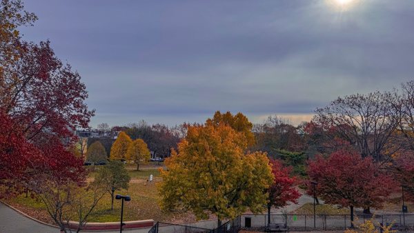 Schuylkill River Park by null