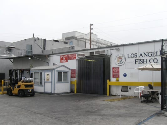 Los Angeles Fish Co by null