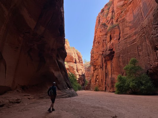 All Ways Adventure by null