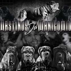 Mastinos Del Manicomio