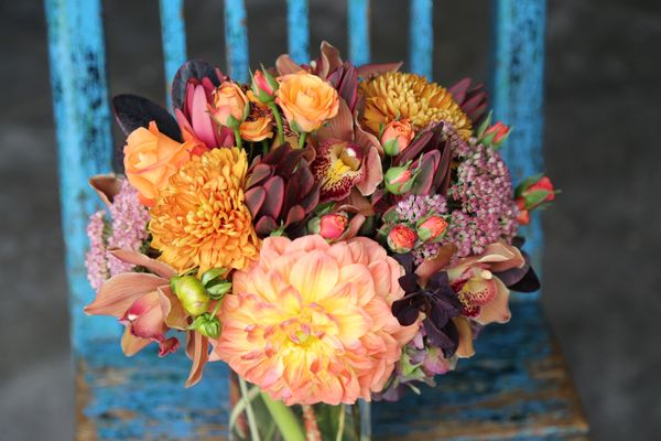 Cebolla Fine Flowers by null