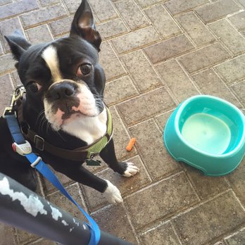 Another Broken Egg Cafe - Dog Friendly! - Breakfast & Brunch Near Me - Panama City Beach, Florida Another Broken Egg Cafe - Dog Friendly! - Breakfast & Brunch Near Me - Panama City Beach, Florida