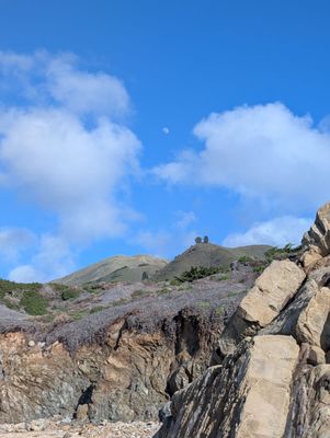 Garrapata State Park by null