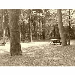 Hyner Run State Park - Camping at Hyner Run.